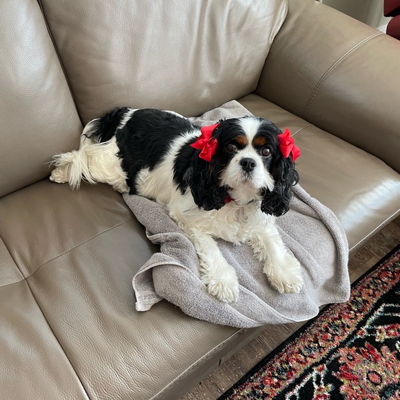 Sorel women’s kinetic impact lace shoe. Outer material is leather. Lace up - Picture 5 of 15